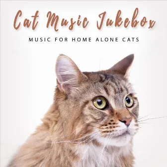 Music for Home Alone Cats by Cat Music Jukebox