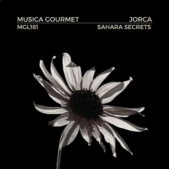 Sahara Secrets by Jorca