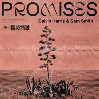 Promises (with Sam Smith) by Sam Smith