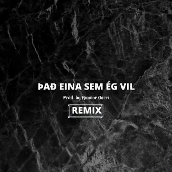 Það Eina Sem Ég vil (Remix) by Spiceman