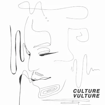 Culture Vulture by Black Joe Lewis & The Honeybears