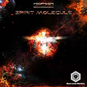 Spirit Molecule by Blue Lunar Monkey