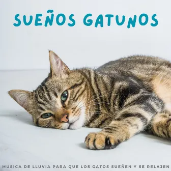 Sueños Gatunos: Música De Lluvia Para Que Los Gatos Sueñen Y Se Relajen by Guarida de música de gatos