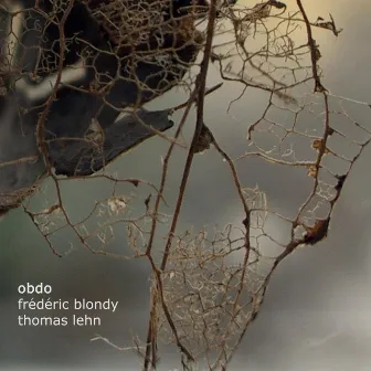 Obdo by Thomas Lehn