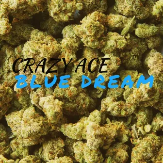 Blue Dream by Crazy Ace