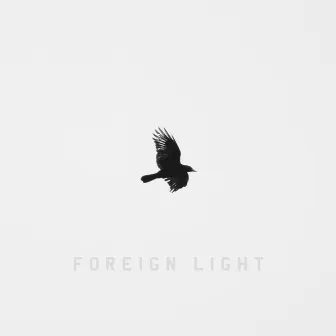 Foreign Light by Toddla T