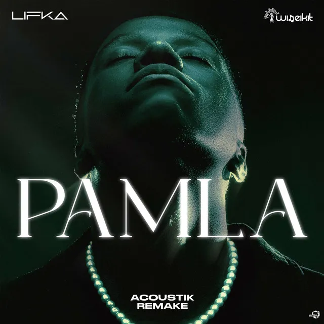 PAMLA (Acoustik Remake)