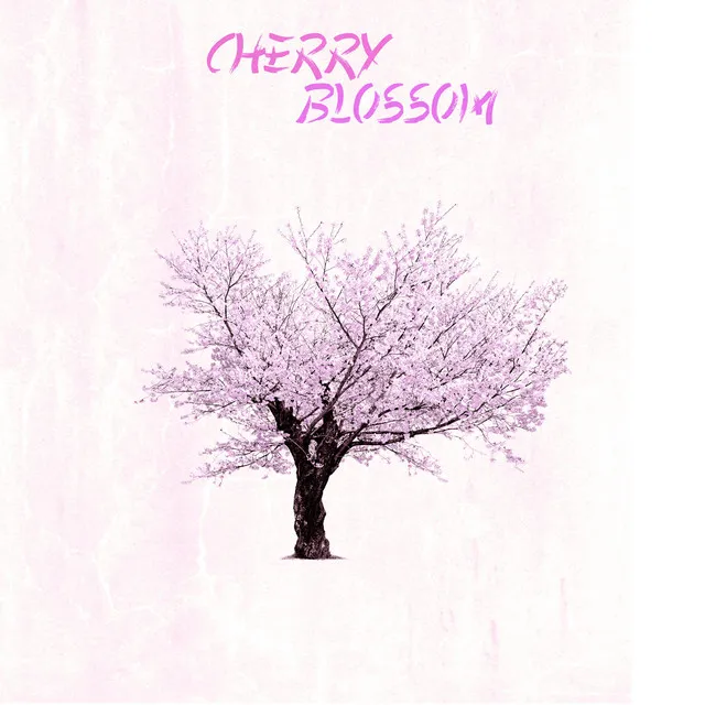 Cherry Blossom