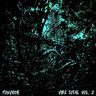 VIBE TOTAL, Vol. 2 by Ponyrok