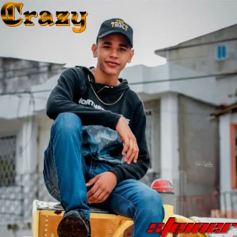 Crazy by Steyner S.R