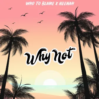 Why Not by Neenah