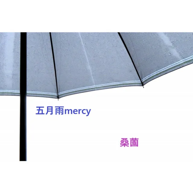 五月雨mercy