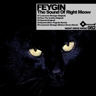 The Sound of Right Meow by Feygin