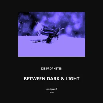 Between Dark & Light by Die Propheten