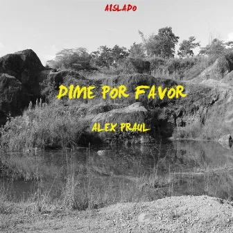 Dime por favor by Alex Praul