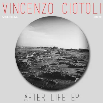 After Life by Vincenzo Ciotoli