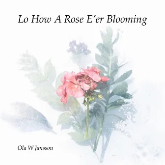 Lo How A Rose E'er Blooming by Ola W Jansson