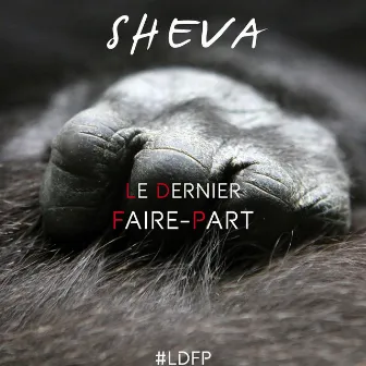 Le dernier faire-part - Single (#Ldfp) by Sheva