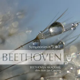 Beethoven : Symphonies No. 5 & No. 2, vol.1 by Jan Caeyers