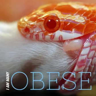 Obese by I Am Many