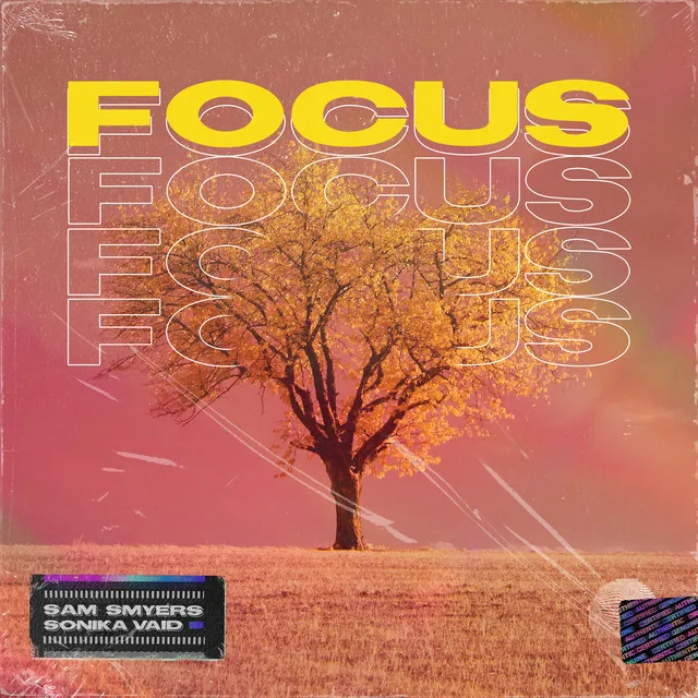 Focus