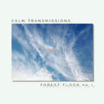 Forest Floor no1 by CALM TRANSMISSIONS