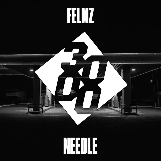 Needle