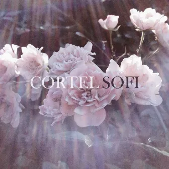 Sofi by Cortel