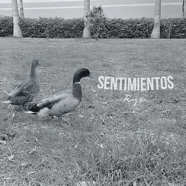 Sentimientos