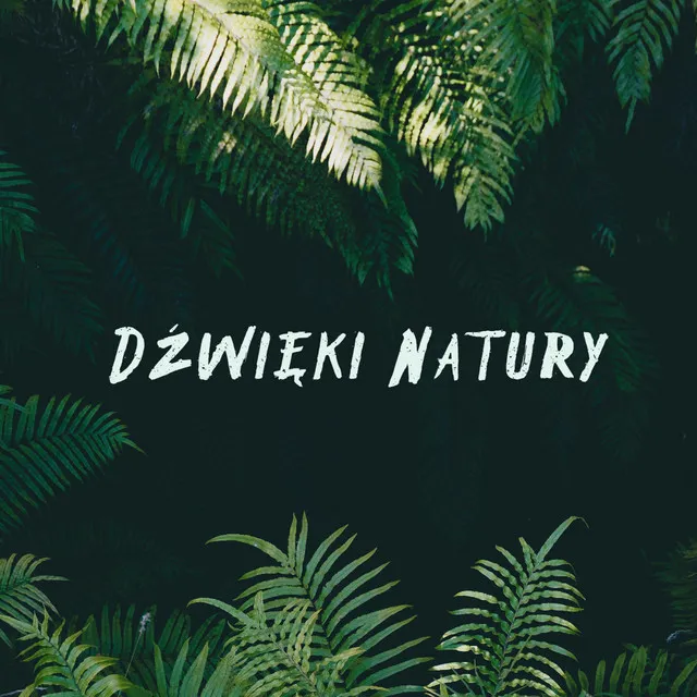 Dzwięki Natury