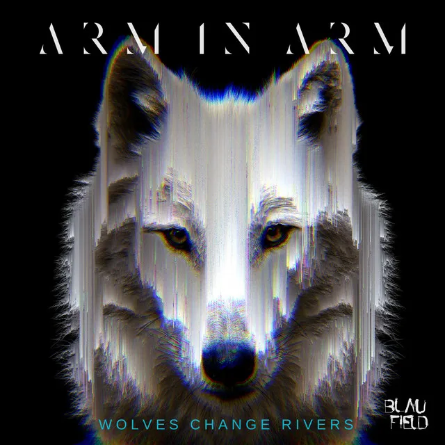 Wolves Change Rivers