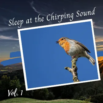 Sleep at the Chirping Sound Vol. 1 by Sleepwell