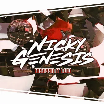 Droppin It Low by Nicky Genesis