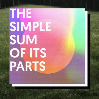 The Simple Sum Of Its Parts by Axl Rhodes