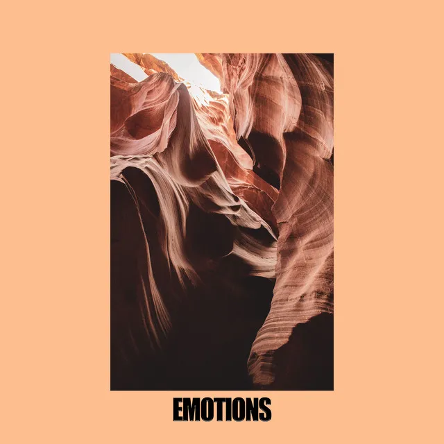 Emotions