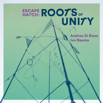 Roots of Unity by Andrea Di Biase