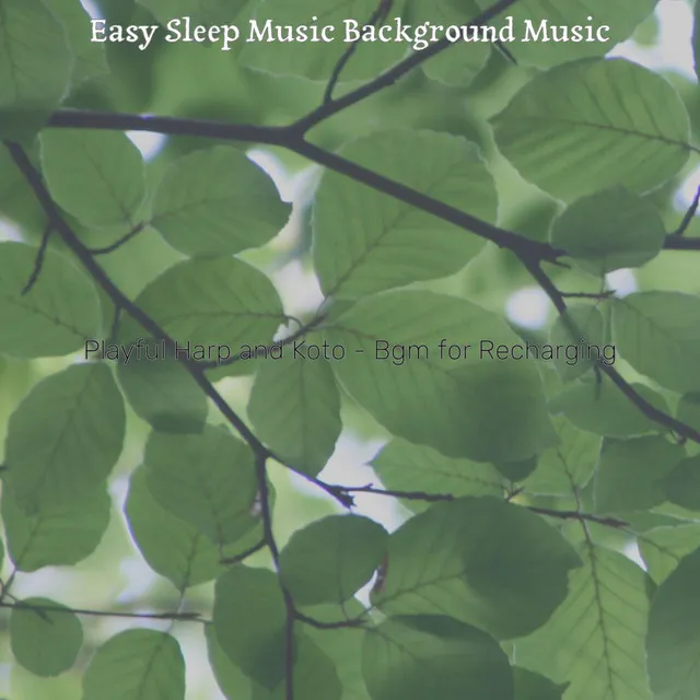 Playful Harp and Koto - Bgm for Recharging