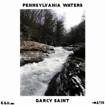 Pennsylvania Waters by Darcy Saint