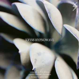 Rifflessione by Kryss Hypnowave