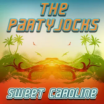 Sweet Caroline by The Partyjocks