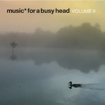 Music *For A Busy Head Volume II by Pan Electric