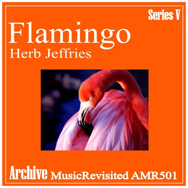 Flamingo