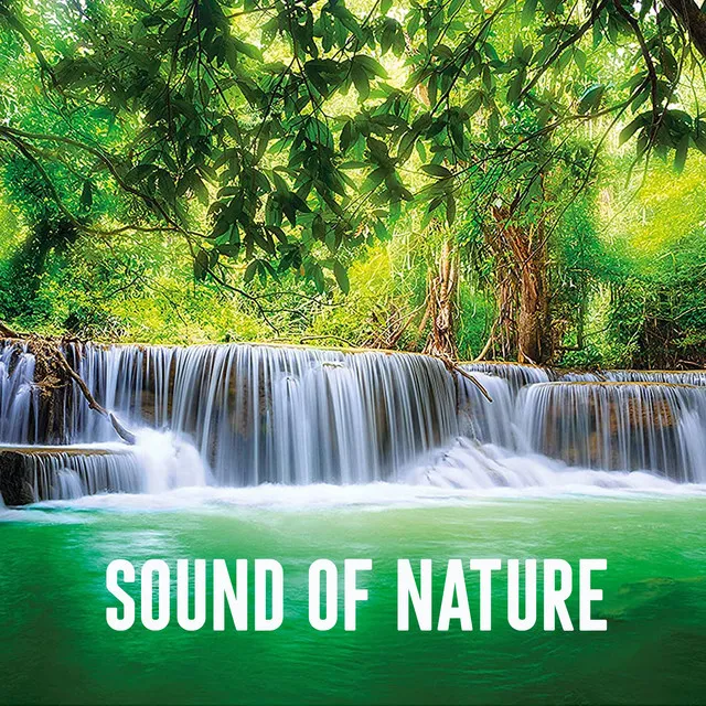 Sound of Nature