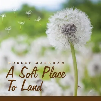 A Soft Place to Land by Robert Markham