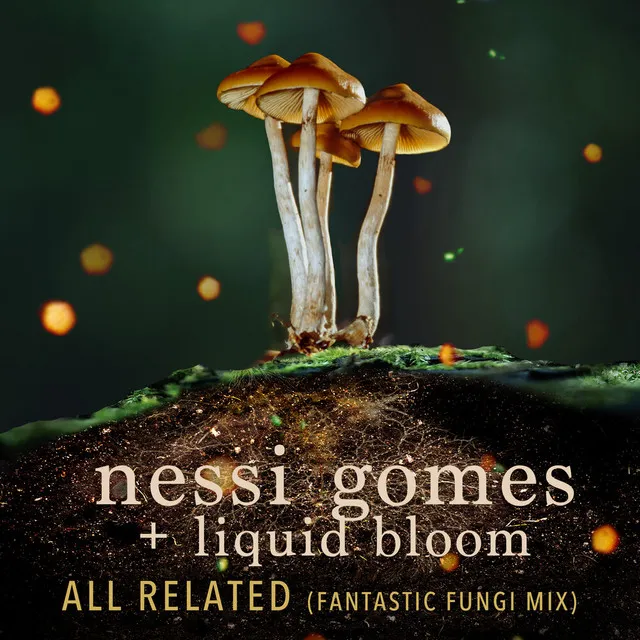 All Related - Fantastic Fungi Mix