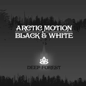 Black & White by Arctic Motion