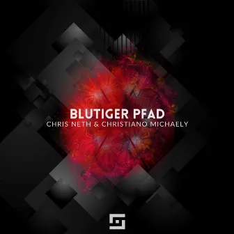 Blutiger Pfad by Chris Neth