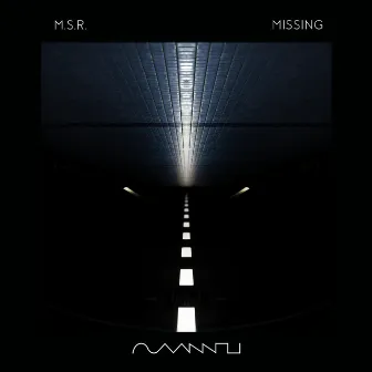 Missing by M.S.R