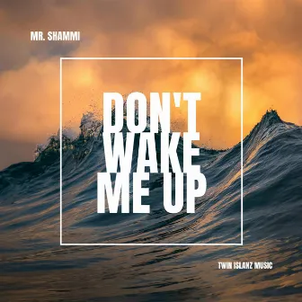 Don't Wake Me Up by Mr. Shammi