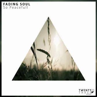 So Peaceful by Fading Soul